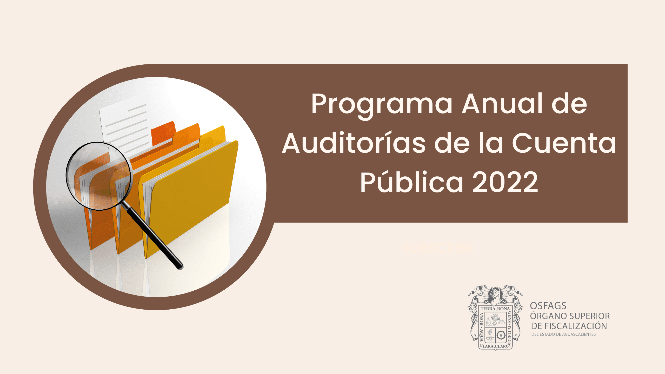 Programa anual de auditorías